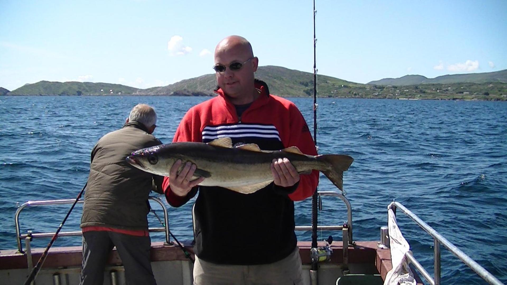 Sneem River Lodge Bed & Breakfast Esterno foto